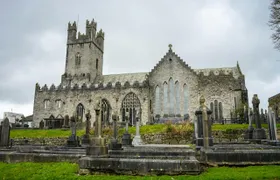 Limerick walking tour with a local