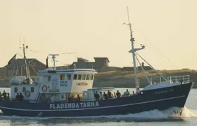 8-hour fishing tour from Varberg on Falkskär II boat