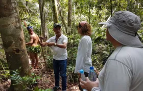 Amazon Forest Tour 4-Hour Trekking