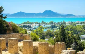 Carthage, Bardo Museum, Sidi Bou Said and Medina Private Day Tour
