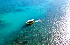 Airlie Beach glass bottom boat tour