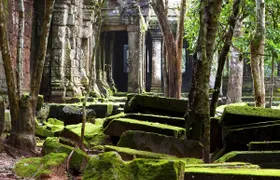 Beng Mealea and Banteay Srei temple private full-day tour