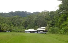 Corcovado-overnight-Tour at sirena ranger station.