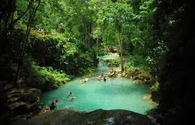 Chuck Norris Secret Falls and Dunn's River Falls