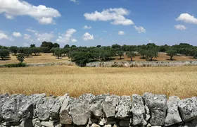 Trekking and dry stone wall lesson in the Valle d’Itria