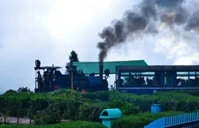 Day_Trippers (Darjeeling Full Day Tour).