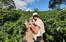 Cocora Valley Tour and Coffee Farms