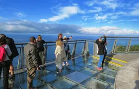 Skywalk, Vineyards, Landscapes and 4x4 Experience in Madeira