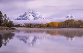 Winter and spring wildlife sunrise safari from Jackson Hole