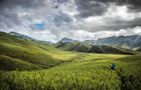 4 Day Tour at Nagaland Dzukou Valley