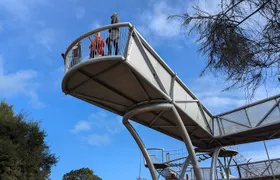 Historic Leschenault Inlet & Dolphin Sundowner Run - 5K ish