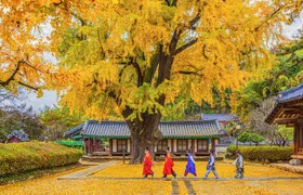 Jeonju Hanok Village Full-Day Tour: Jangtaesan Autumn Foliage