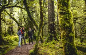 Full-Day Milford Sound Tour with Cruise and Walks from Te Anau