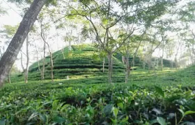 Srimangal nature tour in forest and tea garden