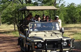 Game Drive & Rhino Safari Exp - up to 3 hrs long - MIN 2 PEOPLE