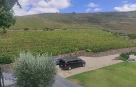 Douro Valley amazing wine Tours 