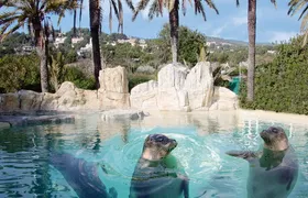 Marineland visit in Majorca with transfer
