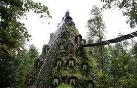 Huilo Huilo Reserve Tour from Valdivia with Lunch