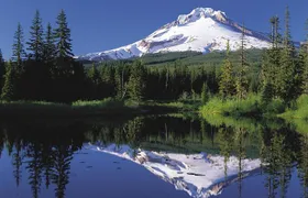 Columbia River Gorge Waterfalls & Mt Hood Tour from Portland, OR