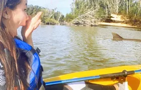 Dolphin & Manatee Kayaking Tour in Orlando Area