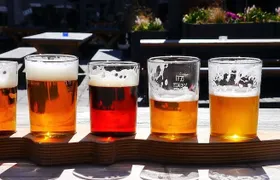 Self-guided interactive pub trail in Emmen with online app