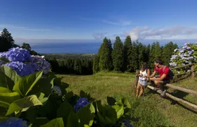 Half-day hiking tour in Sete Cidades