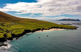 Dingle Dolphin Blasket Adventures
