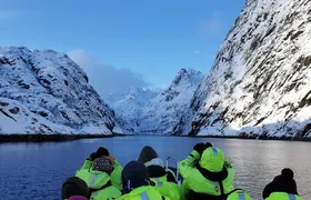 Trollfjord and Sea Eagle Safari Tour from Svolvaer