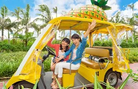 Okinawa Hip-hop Bus A Course Tour｜Churaumi Aqualium,Kori Island