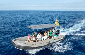 Whale Watching Eco-Adventure from Costa Adeje 