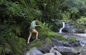 Yungas Half-Day Tour from Tucuman