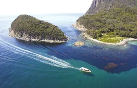 Bruny Island 3 hour cruise with Kettering bus pickup