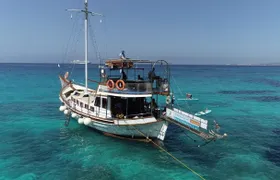 Azure cruise in Kefalonia with hidden beaches and Greek lunch