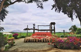 Winery and Pisco Distillery tour