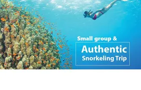 REAL snorkel &island hopping by SPEEDBOAT-EXPLORE CUISINES(MAX12)