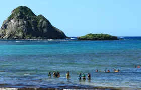 4x4 off-road island discovery full-day tour