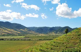 Private Transfer from Santiago or Santiago Airport to Colchagua or Santa Cruz
