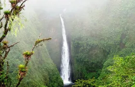 Arenal Volcano Experience Full-Day Tour from San Jose