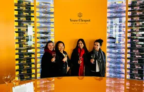 Reims or Epernay: Full day Veuve Clicquot family grower & lunch