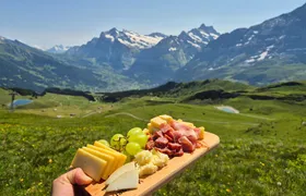 Cheese and chocolate on mountain summit