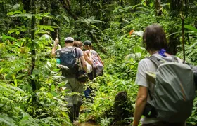 Full jungle experience tour