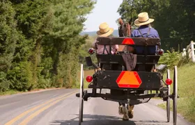 Premium Amish Country Tour including Amish Farm and House