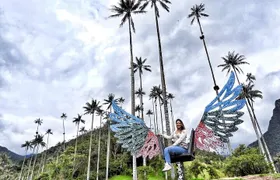 Cocora Valley and Salento Hike Tour