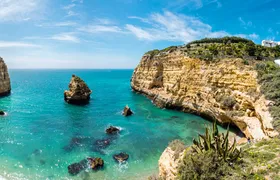 Caves and Dolphin- Watching Aboard the Dreamer