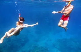 Snorkeling cruise with lunch and drinks from Dahab