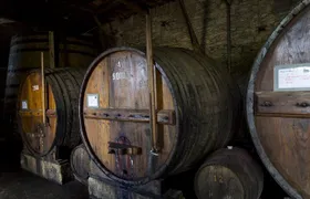 Douro Full Day Tour with Wine Tasting and Lunch