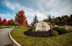Best of St. John's Guided Tour