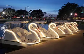 Illuminated Swan Boat Night Ride on Rainbow Lagoon in Long Beach