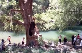 Tour Visiting the Malpais