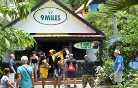 Day Trip to Bob Marley's Nine Mile and Dunn's River Falls from Falmouth
